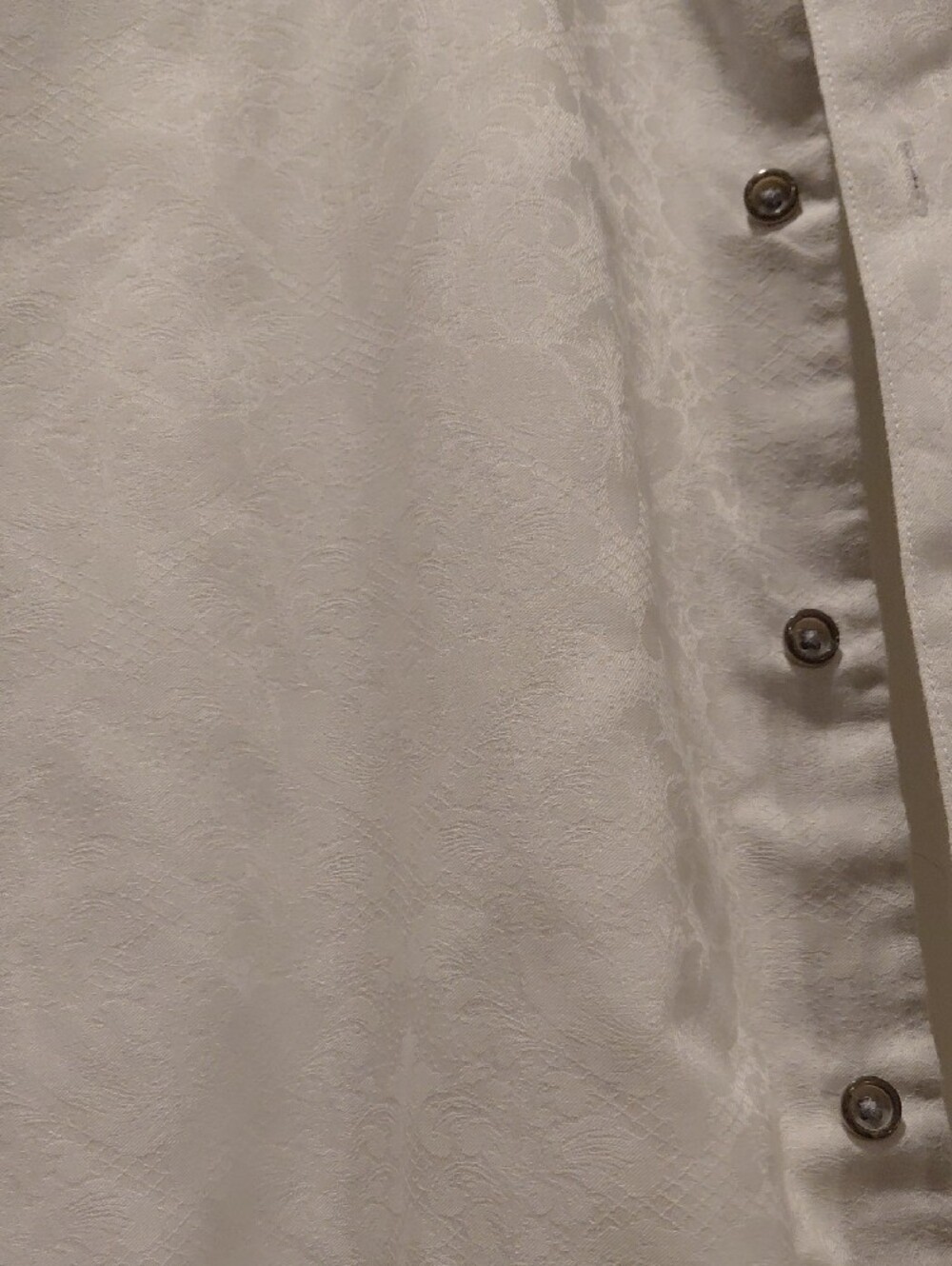 Robert Graham White Short Sleeve Button-Down with Paisley Collar Lining - Picture 3 of 5